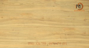 Sàn Gỗ Thái Xin MF1031